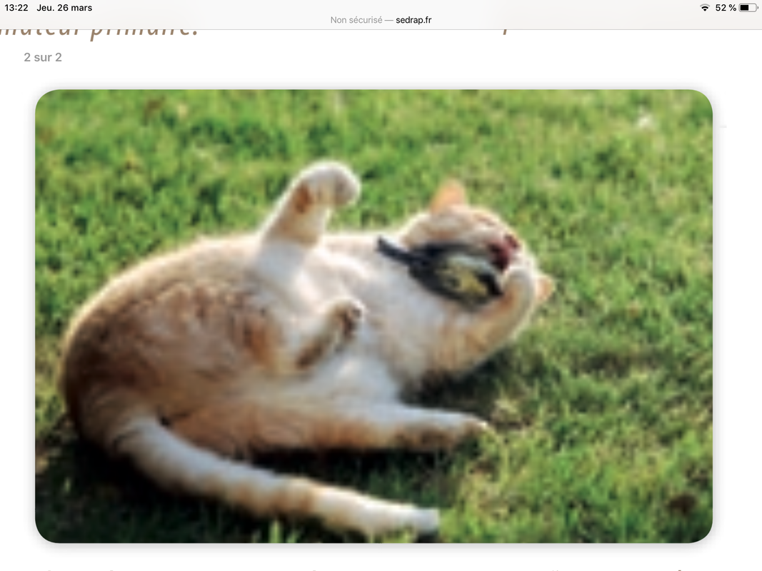 A3F71191-772A-49A5-8B13-BADBC93B433F