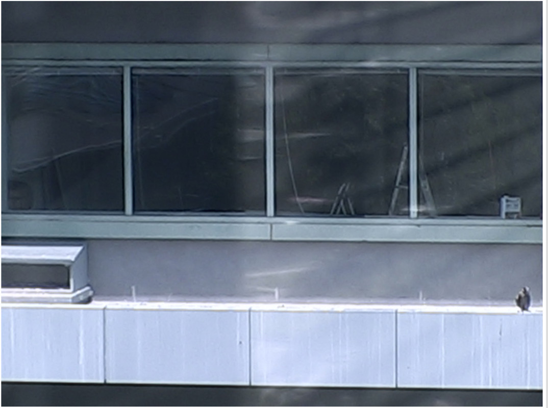 6F7FB5C3-E44B-4D0F-BD02-FB78DDDDCB5C