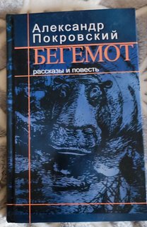 photo_2024-02-26_17-11-56