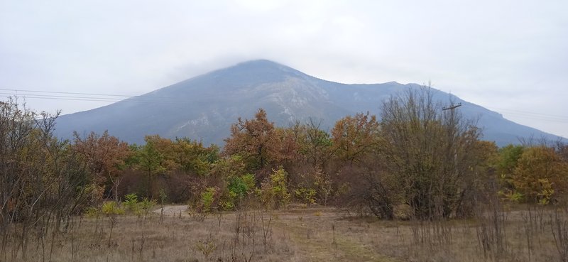 Slika