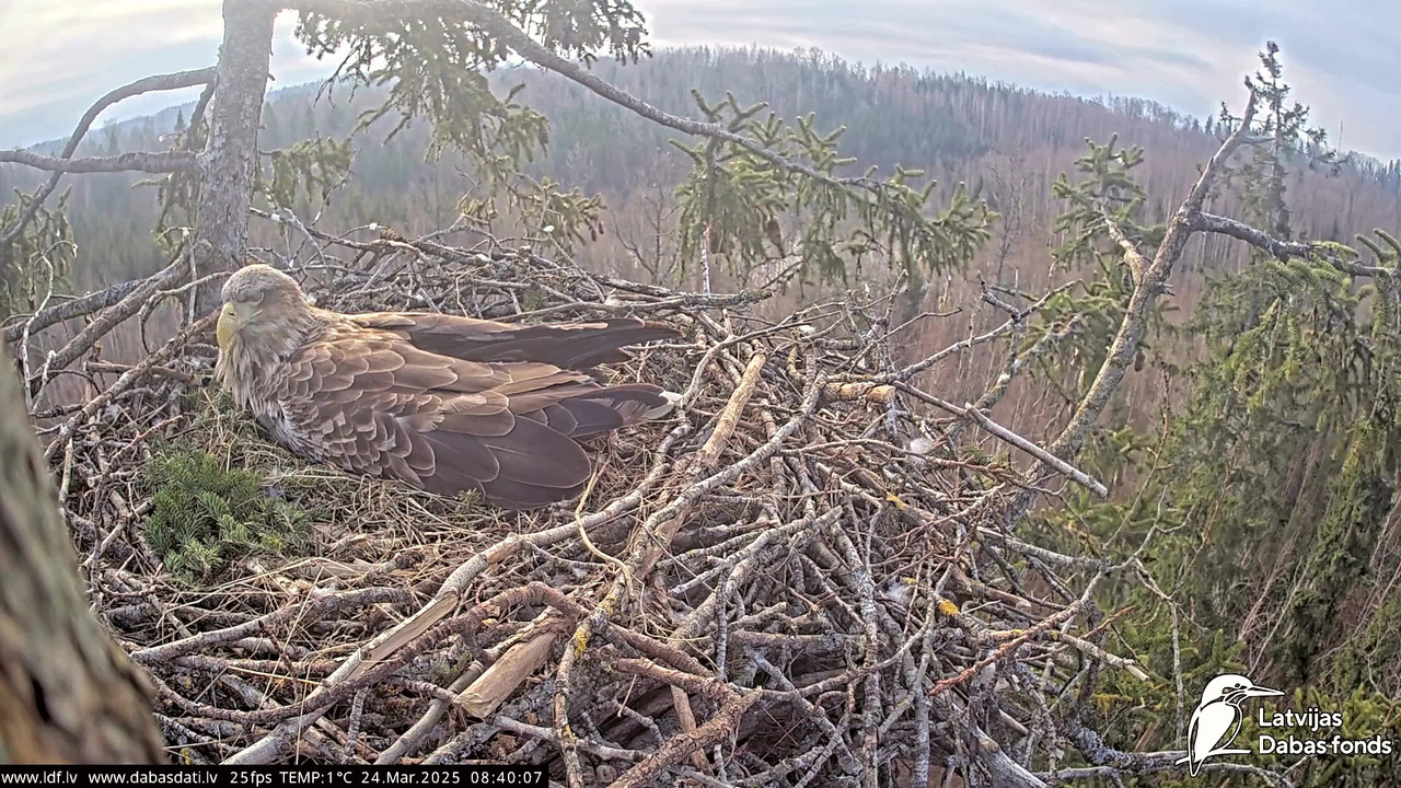 vlcsnap-2025-03-24-07h48m52s933