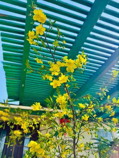 [Image: IMG_3112.jpg]