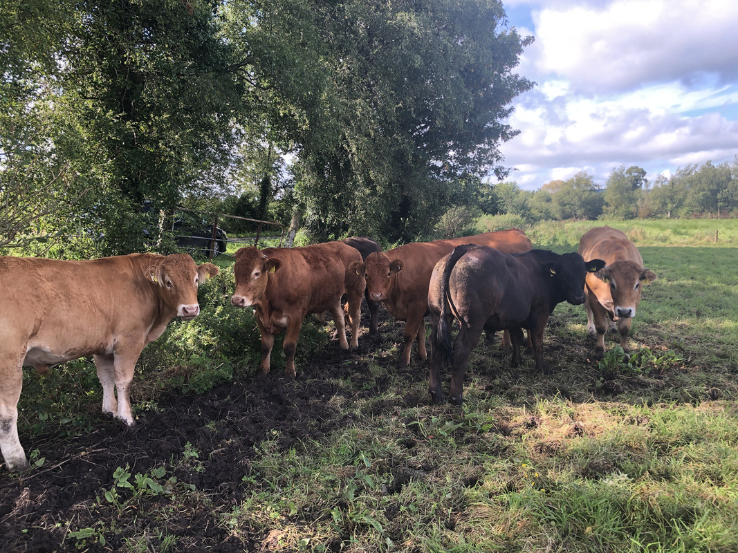 FE78F65E-6E14-456E-BCF3-1B303EB87F04