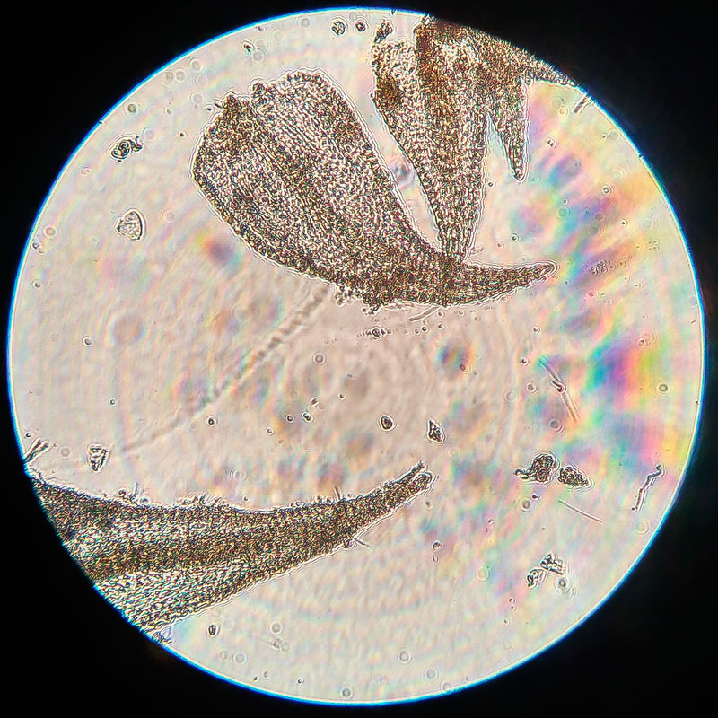 IMG 20250615 222556 HDR