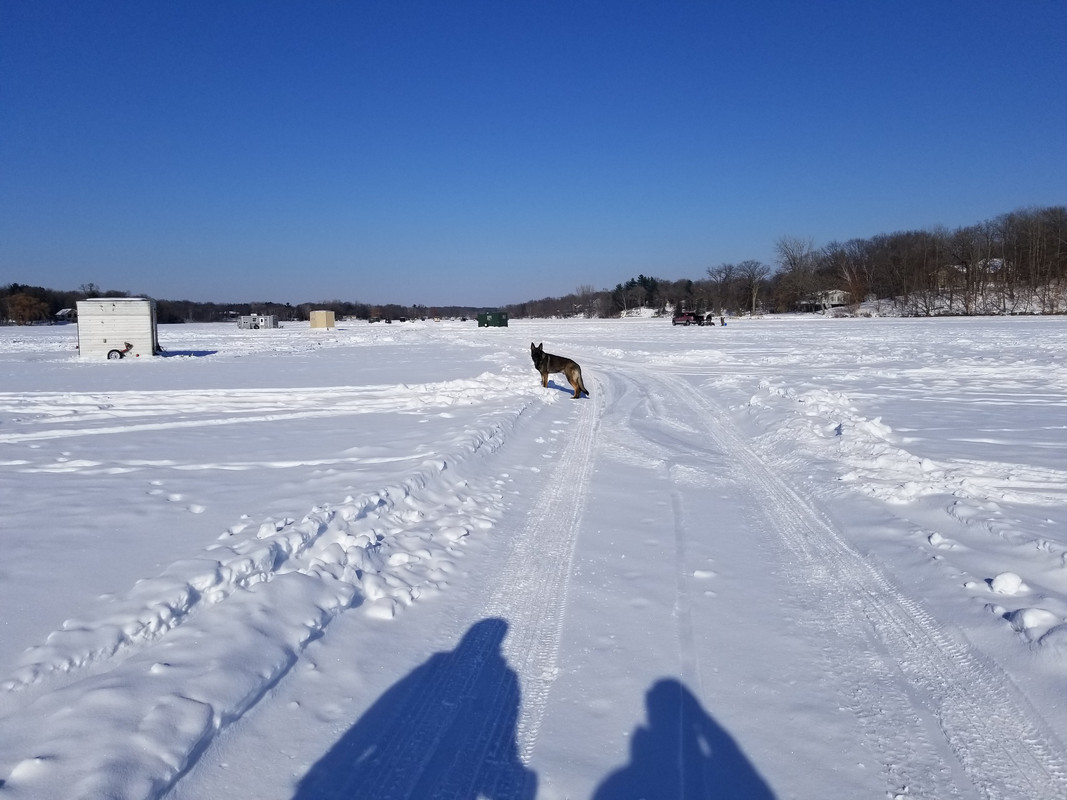 20210219-144937-1.jpg