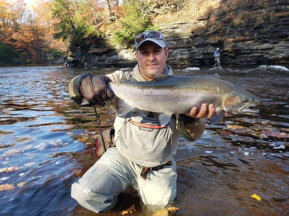 D5A7E623-85A1-4CE9-8D0C-43DB07A40D2E