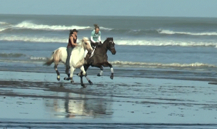 99px-ru-photo-96526-devushki-skachut-vdol-berega-morja-na-loshadjah.gif