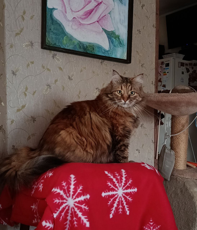 photo 2025 11 23 18 38 44