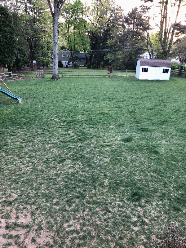 C328C7B3-6953-455F-A3D6-5EECCC37CB46