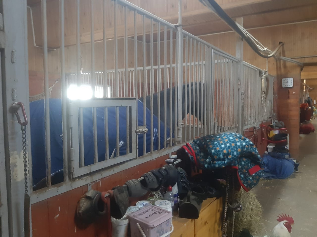 WhatsApp Image 2021-03-05 at 12.14.50 (1)