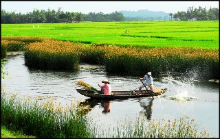 DÒNG TRUYỆN THƠ VUI VỀ ĐỜI SỐNG, TÌNH CẢM & MƯU SINH...Của Nguyễn Thành Sáng&Tam Muội - Page 6 1286-gtqm