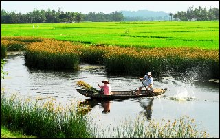 sang - DÒNG TRUYỆN THƠ VUI VỀ ĐỜI SỐNG, TÌNH CẢM & MƯU SINH...Của Nguyễn Thành Sáng&Tam Muội - Page 6 1286-gtqm