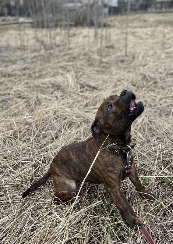 image-09-04-23-05-26-4 (1)_edit_592227494407548