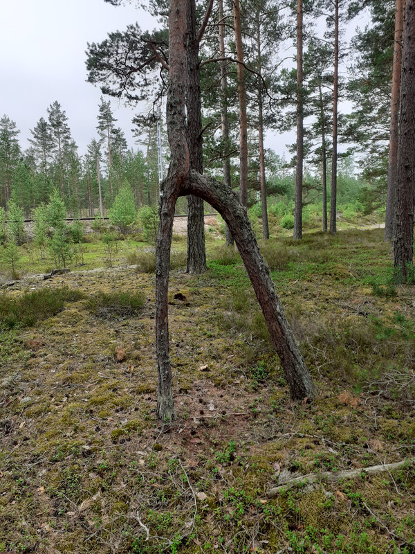 20220713_120032 – kopio