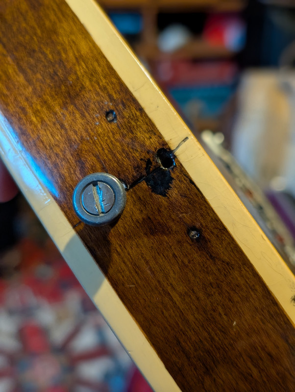 PXL 20260205 090836309 PORTRAIT