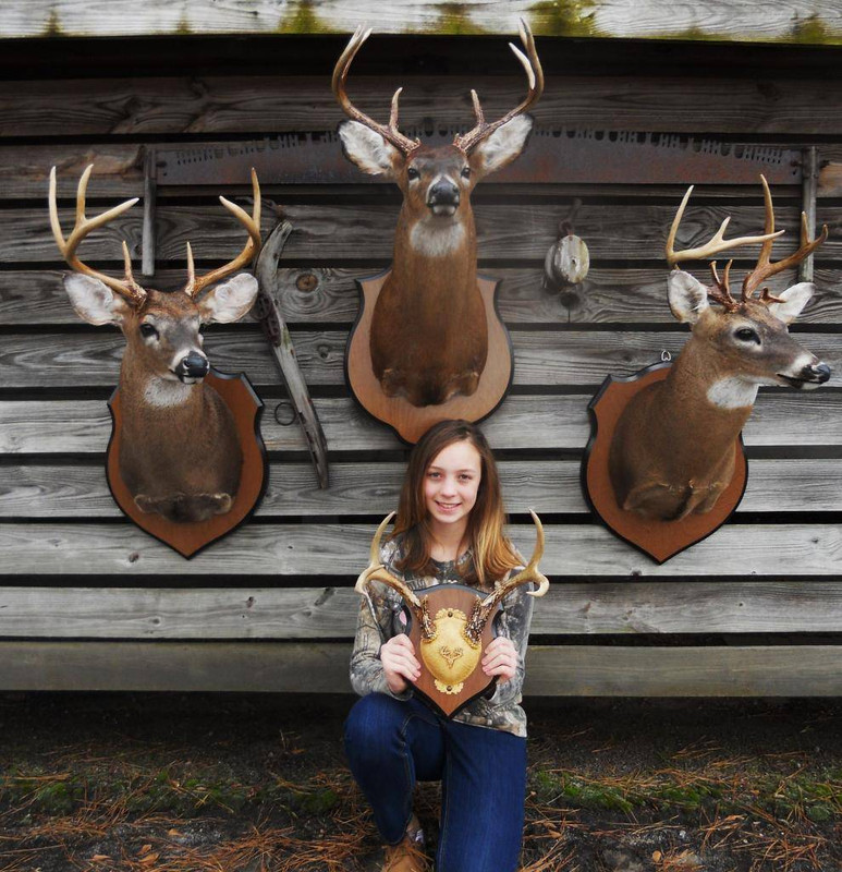 Morgan Deer Pics
