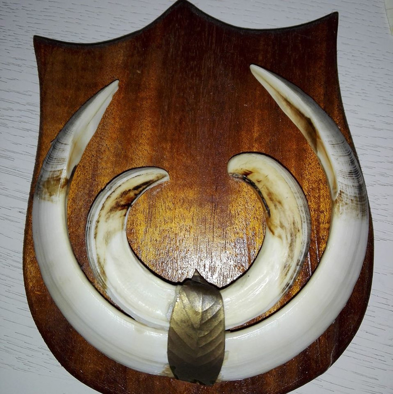 16939576_630800590446124_5505691310187033582_n