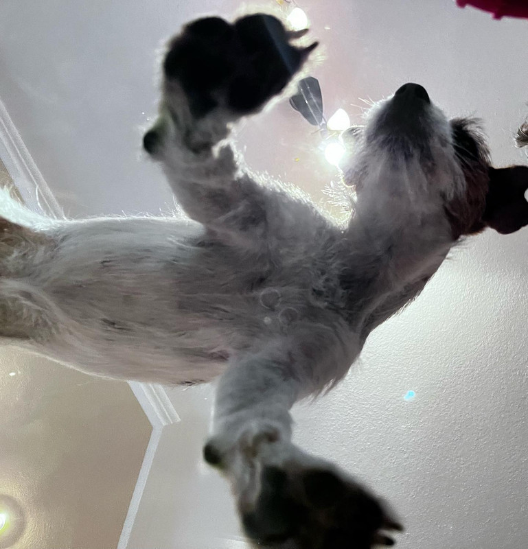 387729246_18302272528191855_1256252312771039001_n