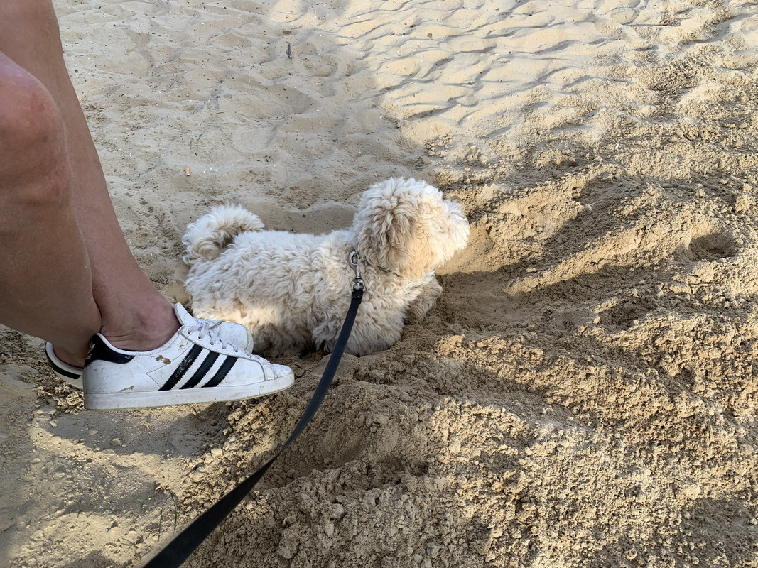 28F03C25-2E70-41C8-86DF-7E1CD5BFBAF7