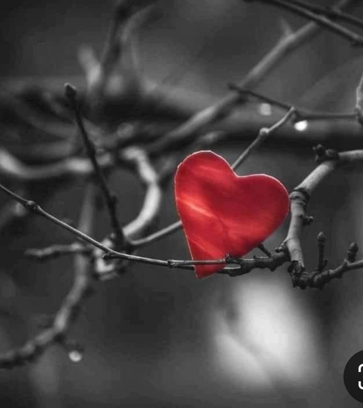 Screenshot_20240214_115128_Pinterest