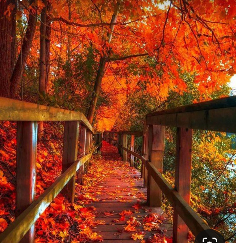 Screenshot_20231128_001647_Pinterest