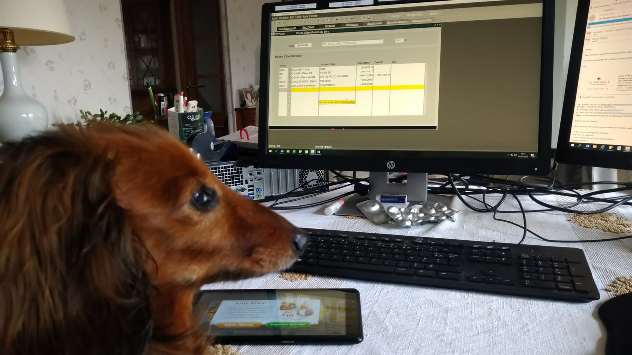 [Image: DSC-0648.jpg]