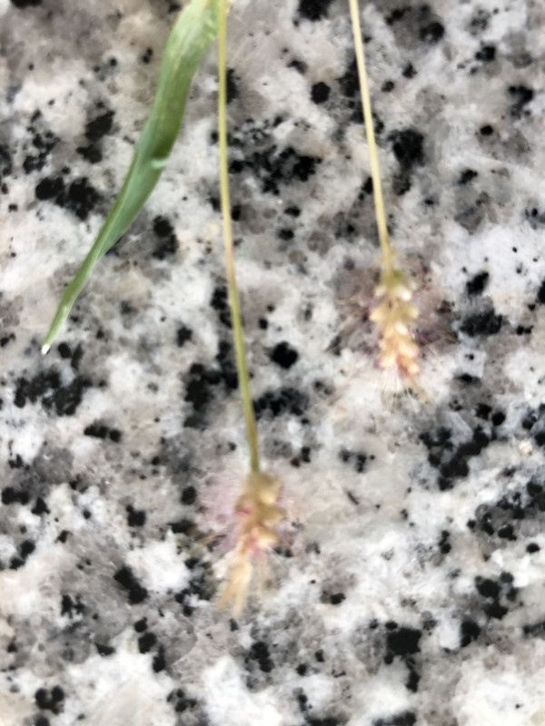 EFDF3E39-381B-4692-A296-D9BA3EC5B1E6