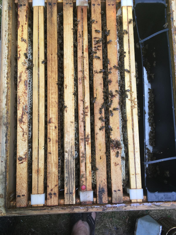 94393A85-1770-4BD2-AD35-FE445DBCC54E