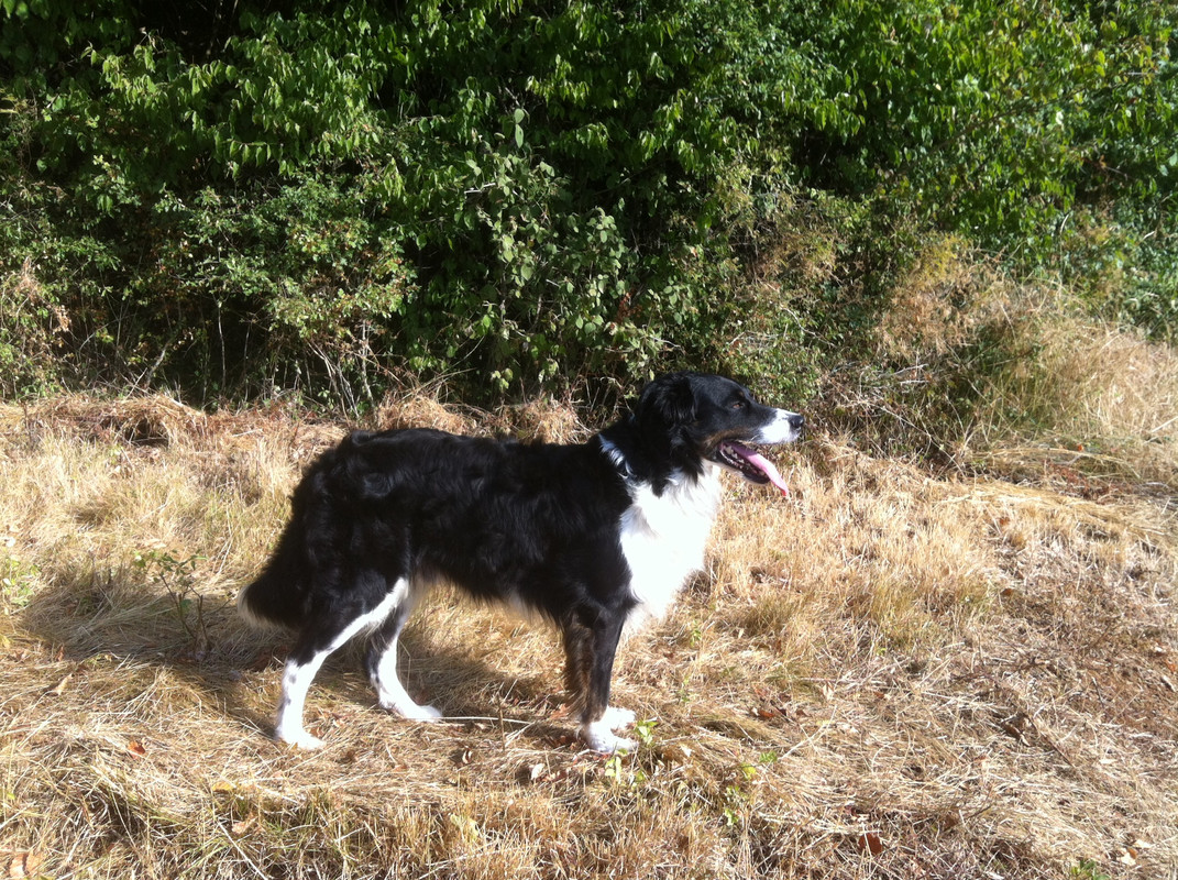 682E5753-216C-46BF-9CEE-19B1105B7590