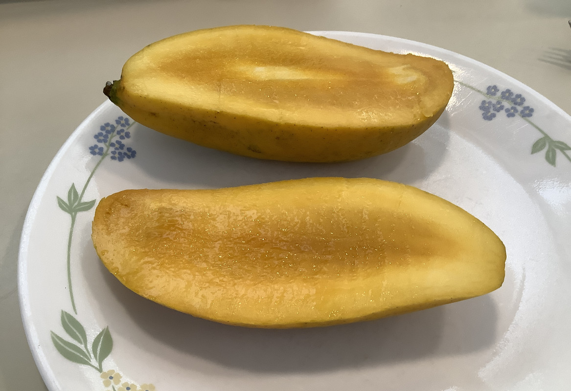 0306F58E-2436-4D09-A95A-046E60C769B3