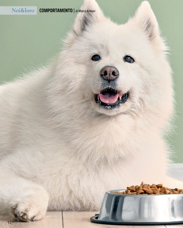 QuattroZampe Ago 2021 (5)