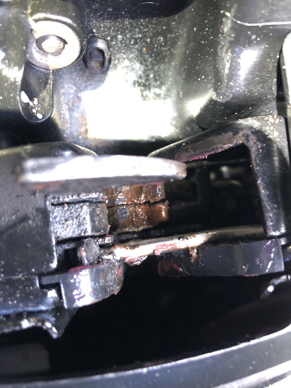 E72F1123-D2A5-486C-A4CC-B70B00A8CDE4