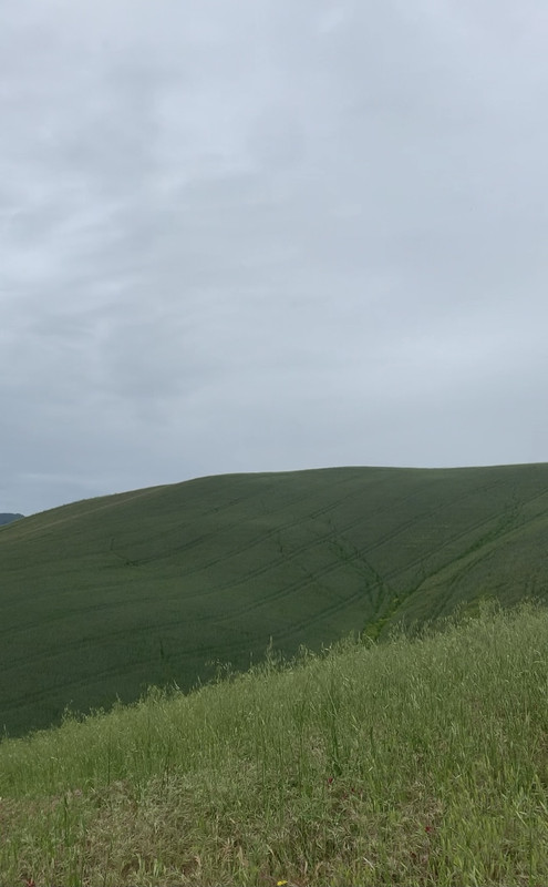 233C59C5-0AFF-4AF2-9A7F-88B72807ED69