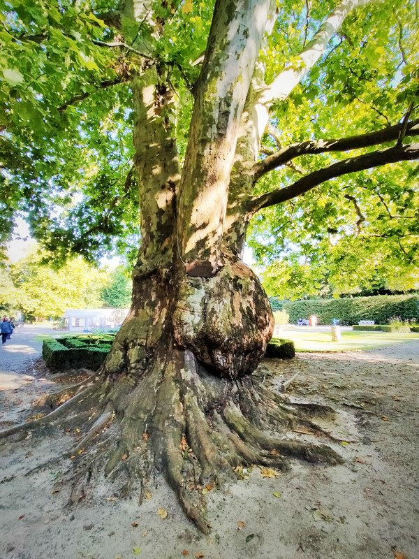 022 - IMG_20210904_185034