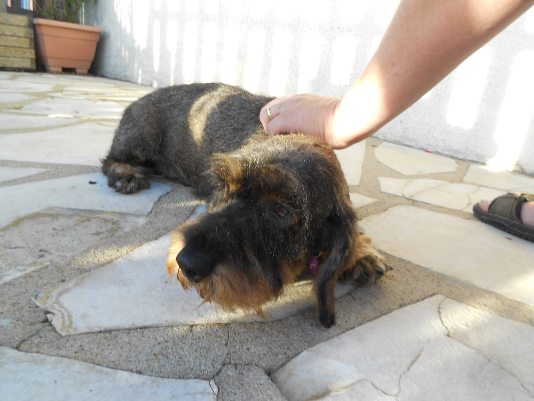 [Image: DSCN3662.jpg]