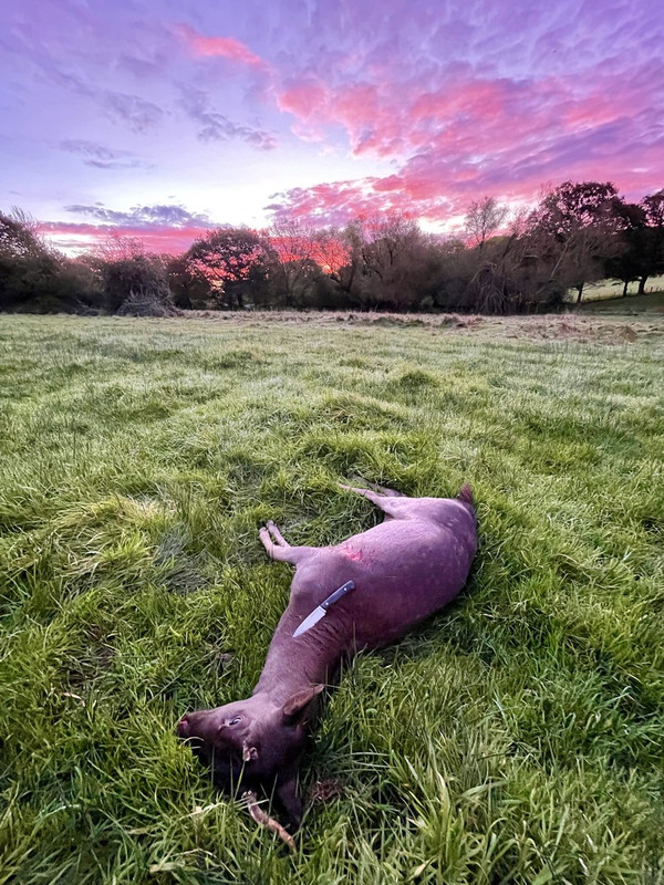 F96E0022-9F19-4DF9-A17E-518FF0EA94F9