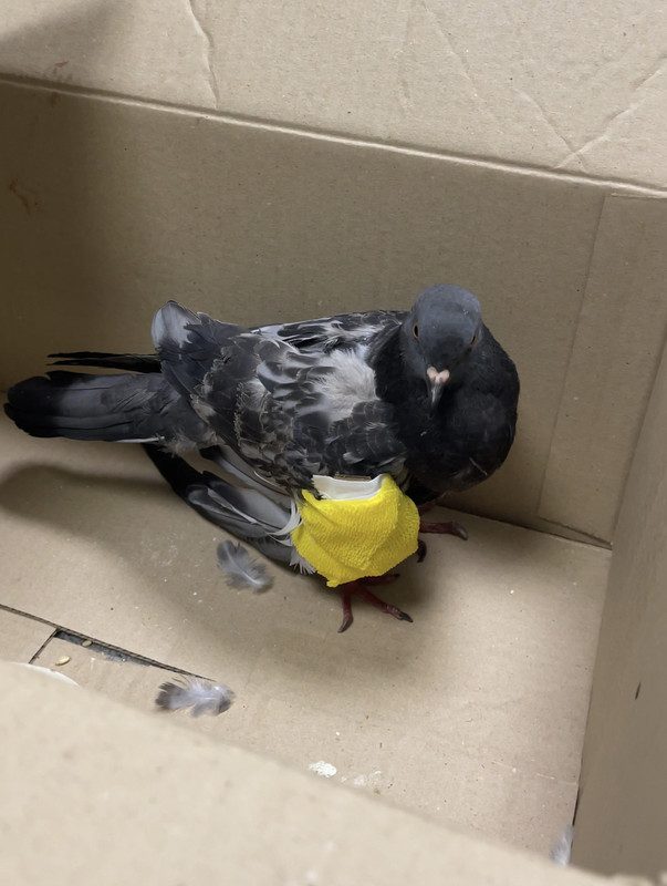 D3051555-F28E-4DB1-871F-04EA4EE2E6ED