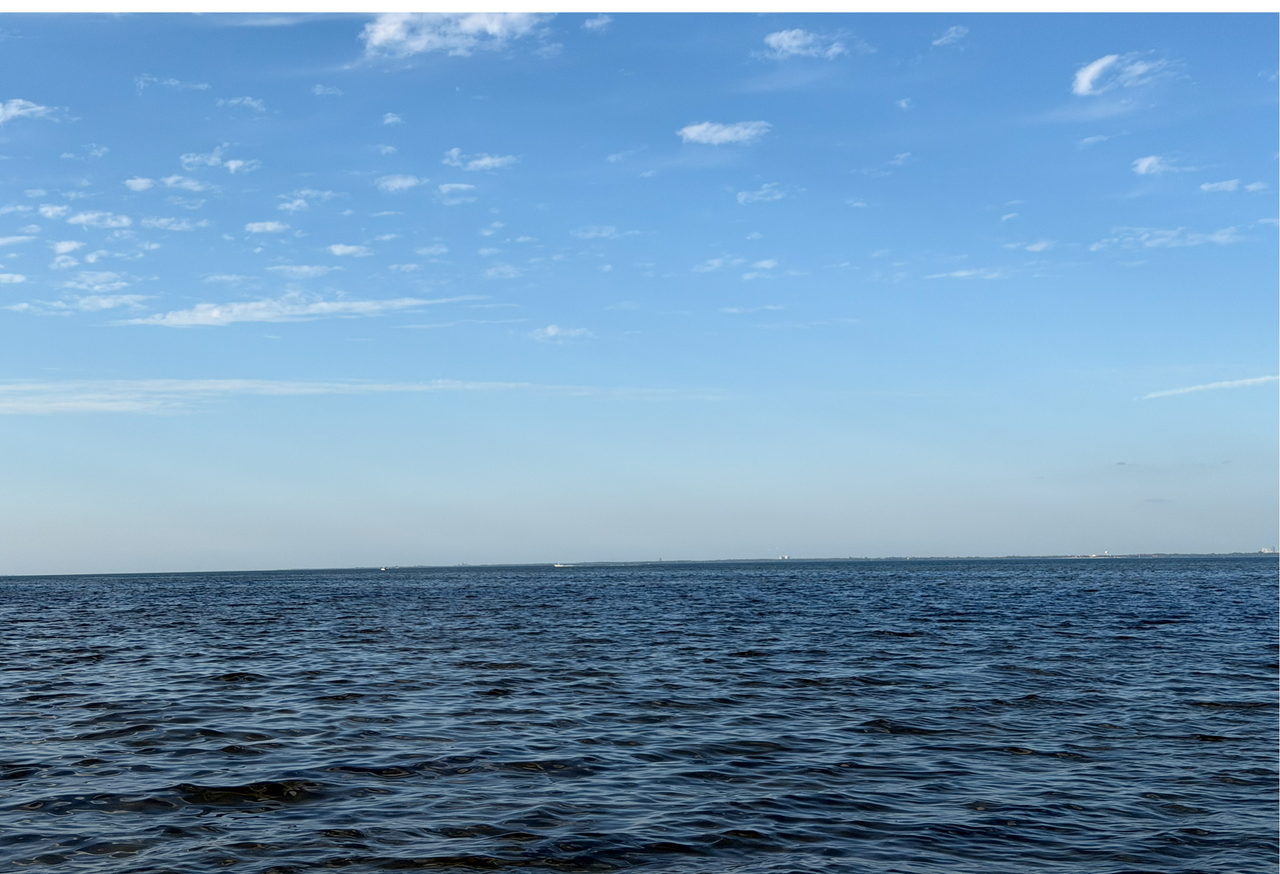 [Image: Tampa-Bay-From-The-E-G-Simmons-Conservation-Park3.png]