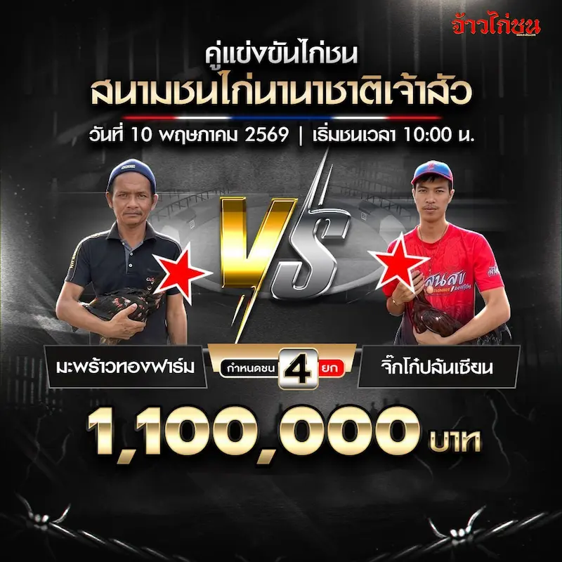 มะพร้าวทองฟาร์ม vs จิ๊กโก๋ปล้นเซียน โปรแกรมไก่ชน สนามชนไก่นานาชาติเจ้าสัว 10 พฤษภาคม 2569