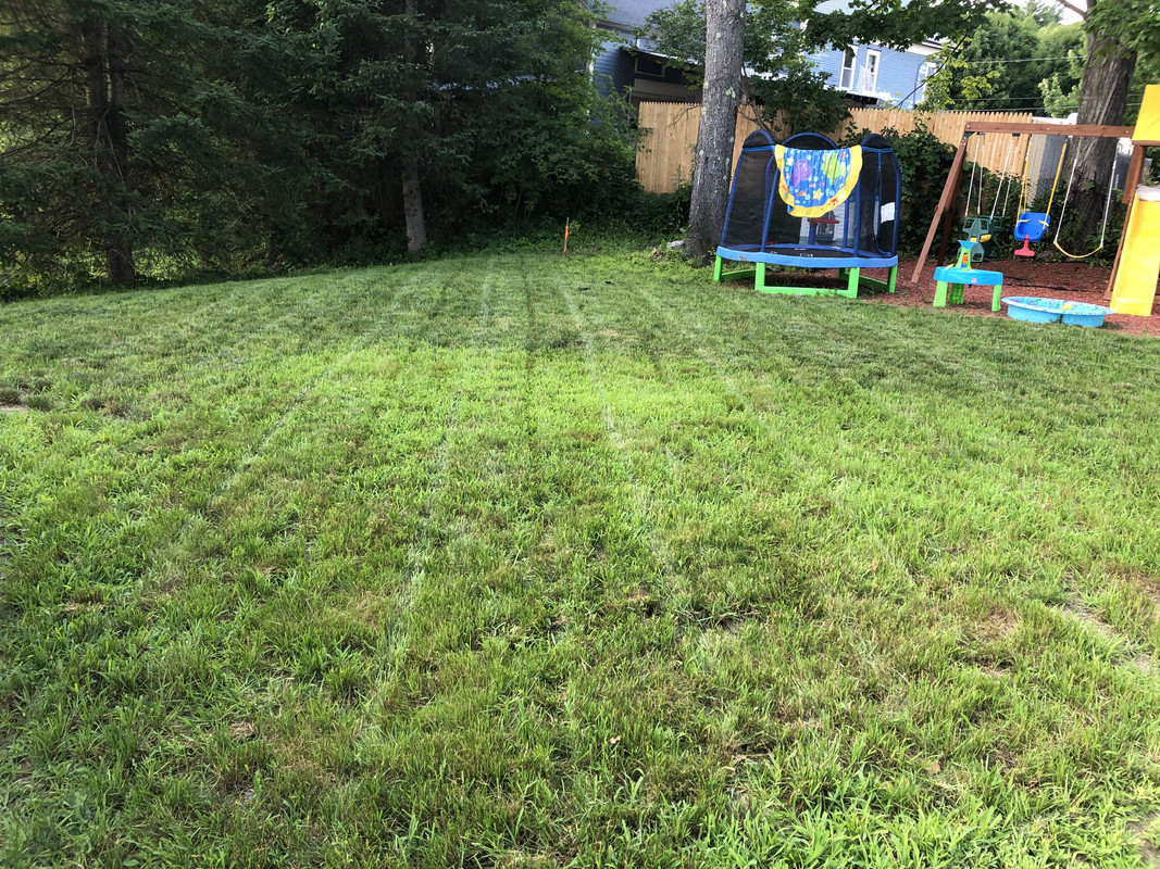 81C9B5AE-A294-42AA-ABE4-E64E08009813