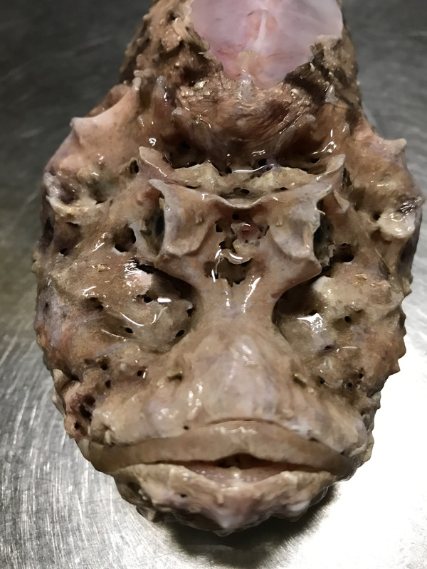 0AF0DDC2-EDEE-4EA5-AA9C-7B1D438525A6