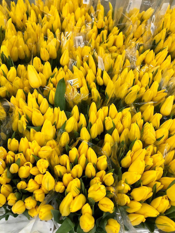 Солнечный шепот