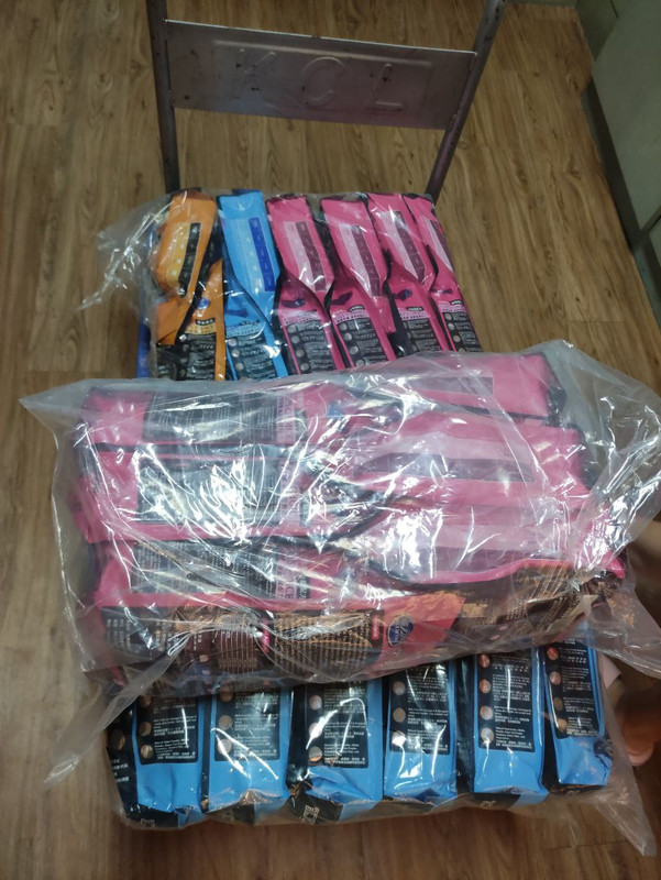 寵物志工服務日 3