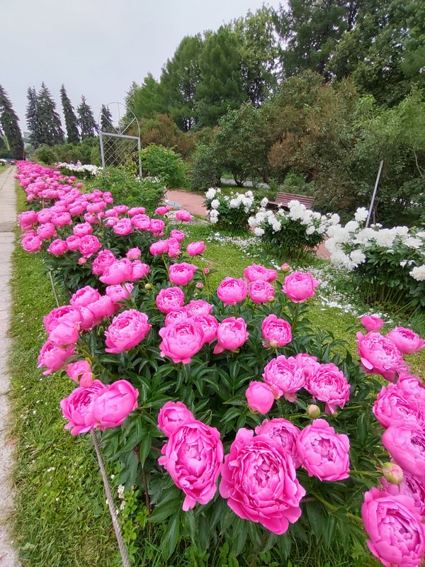 https://i.postimg.cc/kGW54HJh/027-IMG-20240607-113408.jpg