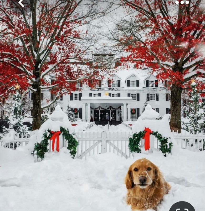 Screenshot_20230706_181929_Pinterest