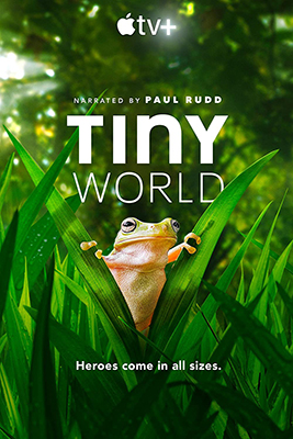 Tiny World - Stagione 2 (2021) [Completa] DLMux 2160p HDR h265 E-AC3+AC3 ITA ENG SUBS