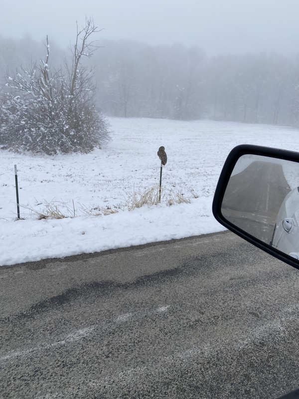 0831472C-35BF-4171-83CB-E5263425C1DD