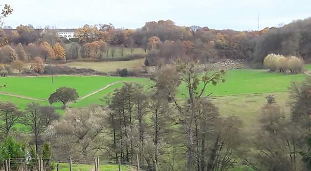 FB_IMG_1479834961892