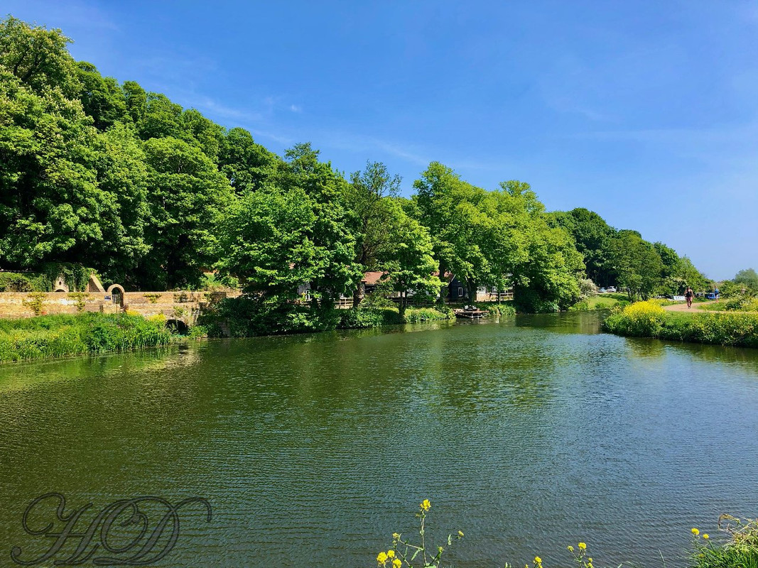 Hartham-HD.jpg