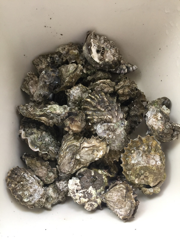 14300AB9-8BA3-4D0A-9E8B-E261297A1955